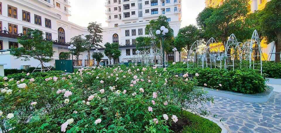 Cho thuê căn hộ 3pn + 2wc tại iris garden, 21 triệu, 135m2