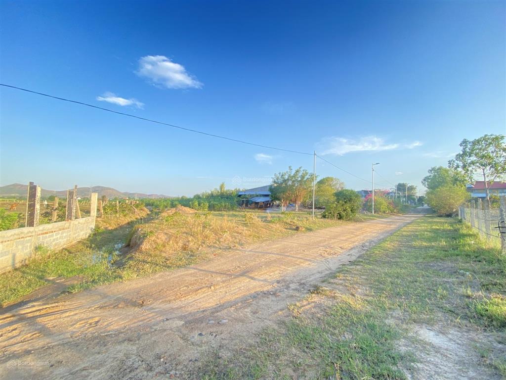 Bán 774,5m2 đất (tân mỹ, tân định) ninh xuân, ninh hoà. rộng đẹp, yên tĩnh, thoải mái.
