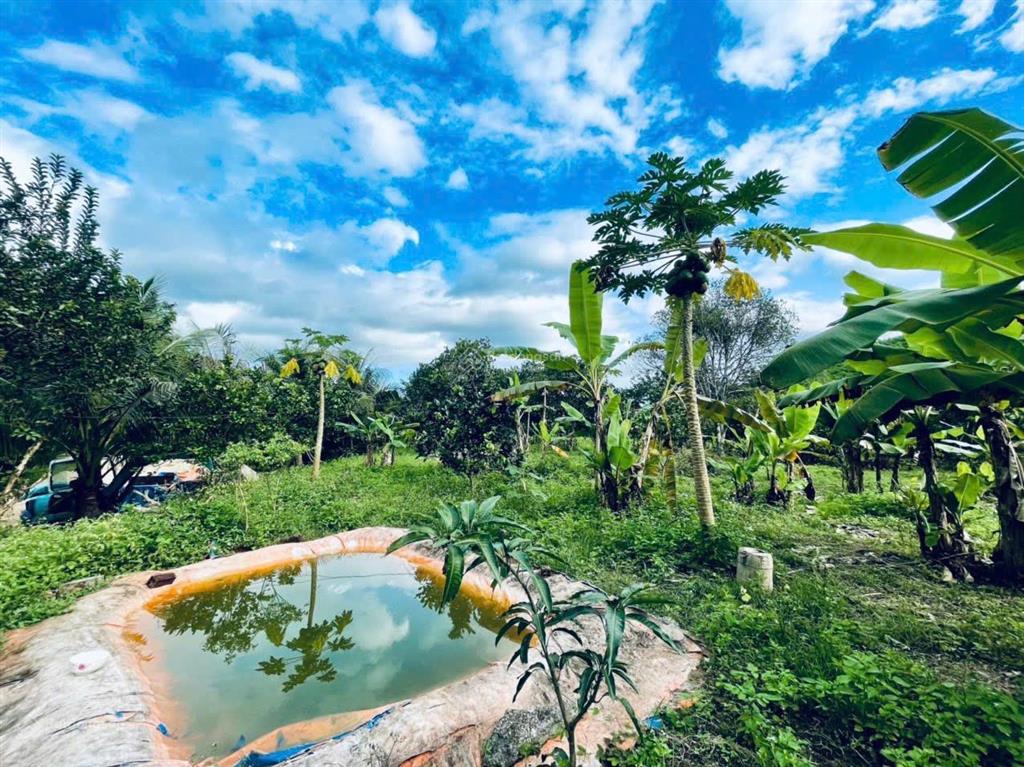 Bán 2612m2 đất có 200m2 thổ cư, mặt tiền đường tỉnh lộ 2, diên thọ, diên khánh.
