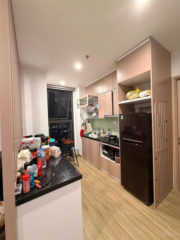 Cần cho thuê căn hộ tại vinhomes ocean park s112