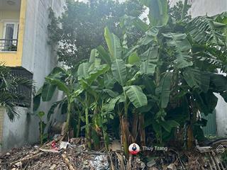 Bán đất 5x20m mặt tiền đường số 9a, an phú an khánh, q2 sát đường song hành