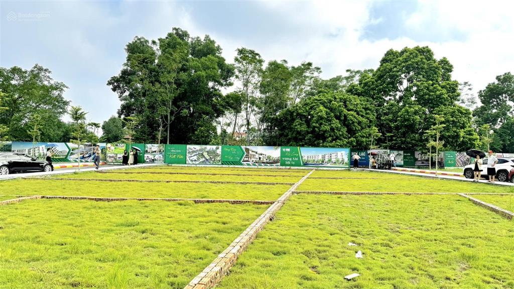 Bán đất thổ cư sơn đông pháp lý rõ ràng, xây nhà ở ngay