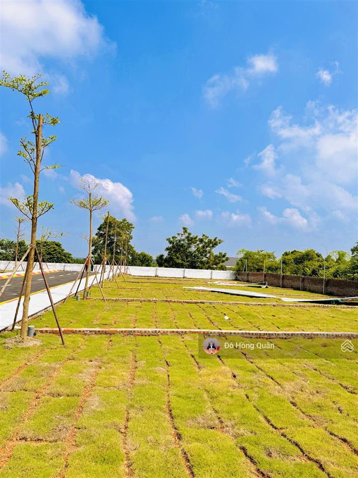 Cc bán đất sổ full thổ cư tại đường 21, xã cổ đông, sơn tây giá đầu tư, khu đông dân kinh doanh đc