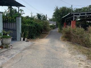Chính chủ cần bán đất đường nhựa thông