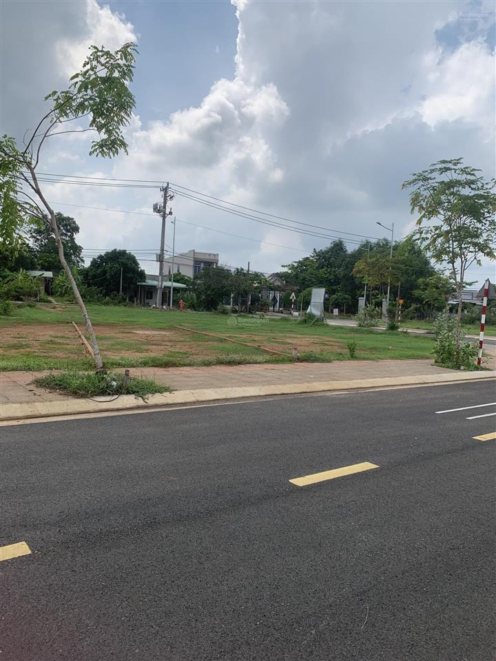 Đất trung tâm thương mại chợ đêm xuyên mộc