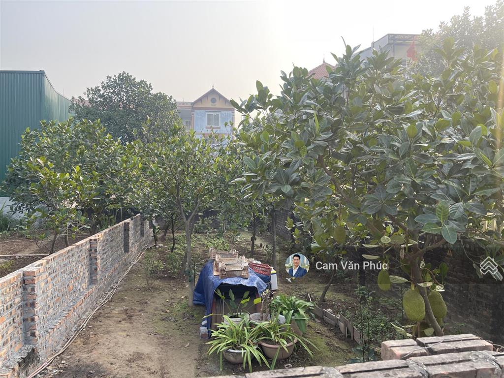 Cc bán đất đông dư 81,5m vuông vắn nở hậu giá 120tr/m 50m ra hồ, chợ, trường ô tô tránh đỗ