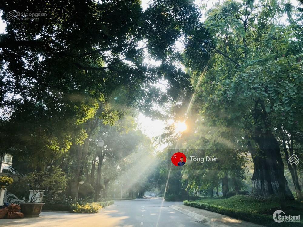 Tống diễn 0944 866 ***. bán biệt thự đơn lập ecopark, đã hoàn thiện, 378m², 3pn, 4wc, 66,2 tỷ