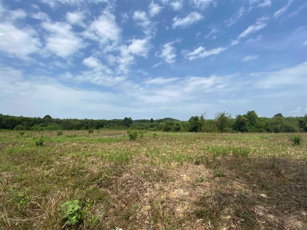 Bán gấp 2000m2 (100m2 thổ cư) xã thanh sơn, định quán, đồng nai. sổ hồng riêng, giá rẻ