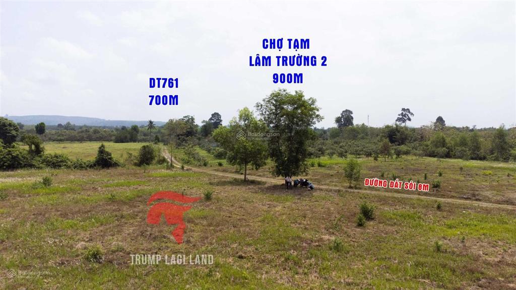 Bán gấp 2000m2 (100m2 thổ cư) xã thanh sơn, định quán, đồng nai. sổ hồng riêng, giá rẻ