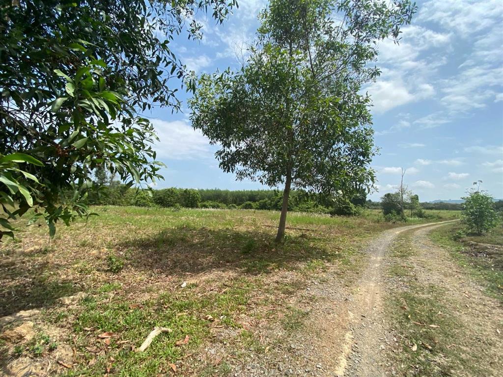 Bán gấp 2000m2 (100m2 thổ cư) xã thanh sơn, định quán, đồng nai. sổ hồng riêng, giá rẻ