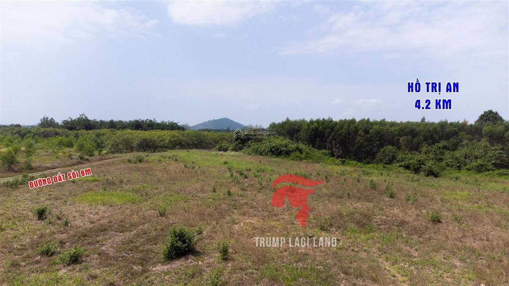 Bán gấp 2000m2 (100m2 thổ cư) xã thanh sơn, định quán, đồng nai. sổ hồng riêng, giá rẻ