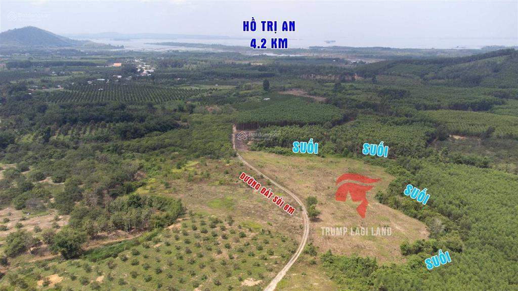 Bán gấp 2000m2 (100m2 thổ cư) xã thanh sơn, định quán, đồng nai. sổ hồng riêng, giá rẻ