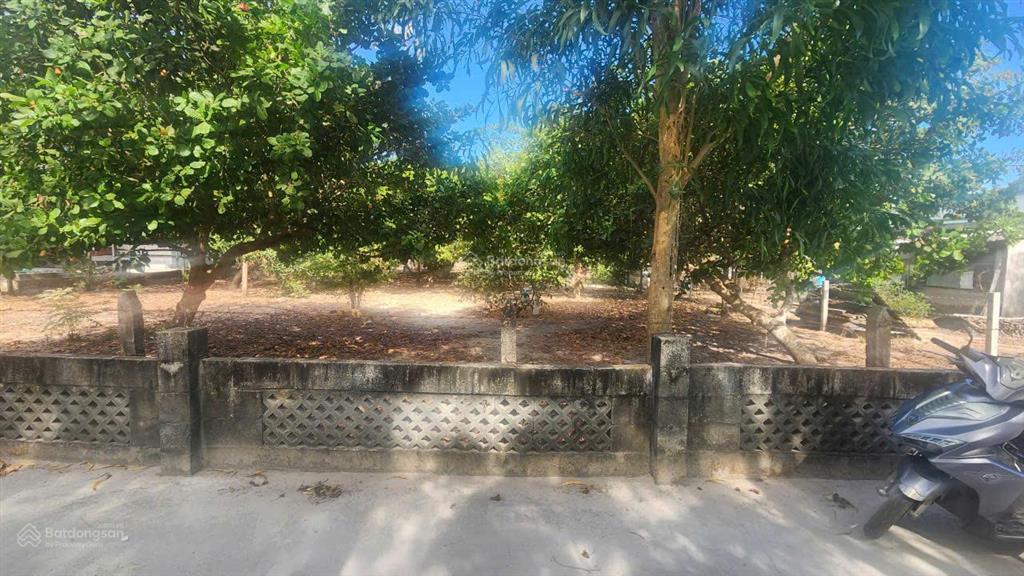 Bán đất 6x20 full thổ cư, ngay trung tâm tân an, lagi, bình thuận. giá rẻ nhất, sổ riêng, đường ôtô