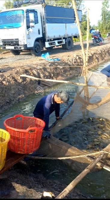 Bán đất 2 mặt tiền 226m đường bờ kênh, xe tải chạy. siêu rẻ 226m x 72m giá 4.9 tỷ