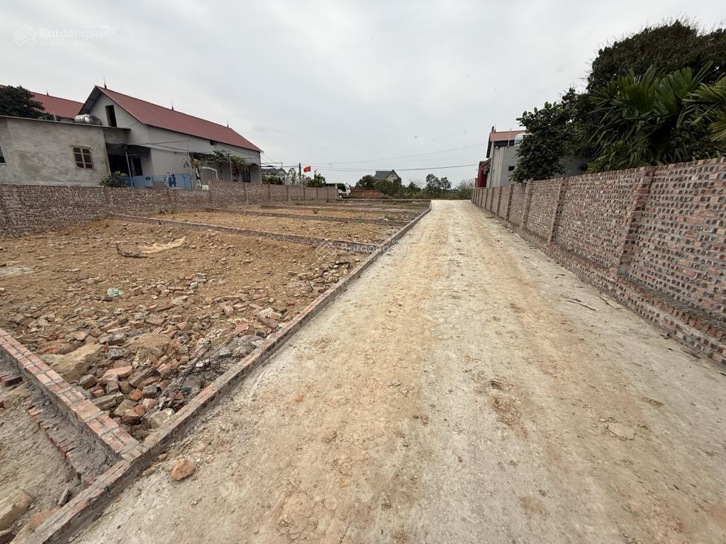 Bán đất tại đường 418, xã tân minh, sóc sơn, hà nội, 1,75 tỷ, 80 m2  cần tiền bán gấp (giá tl sâu)
