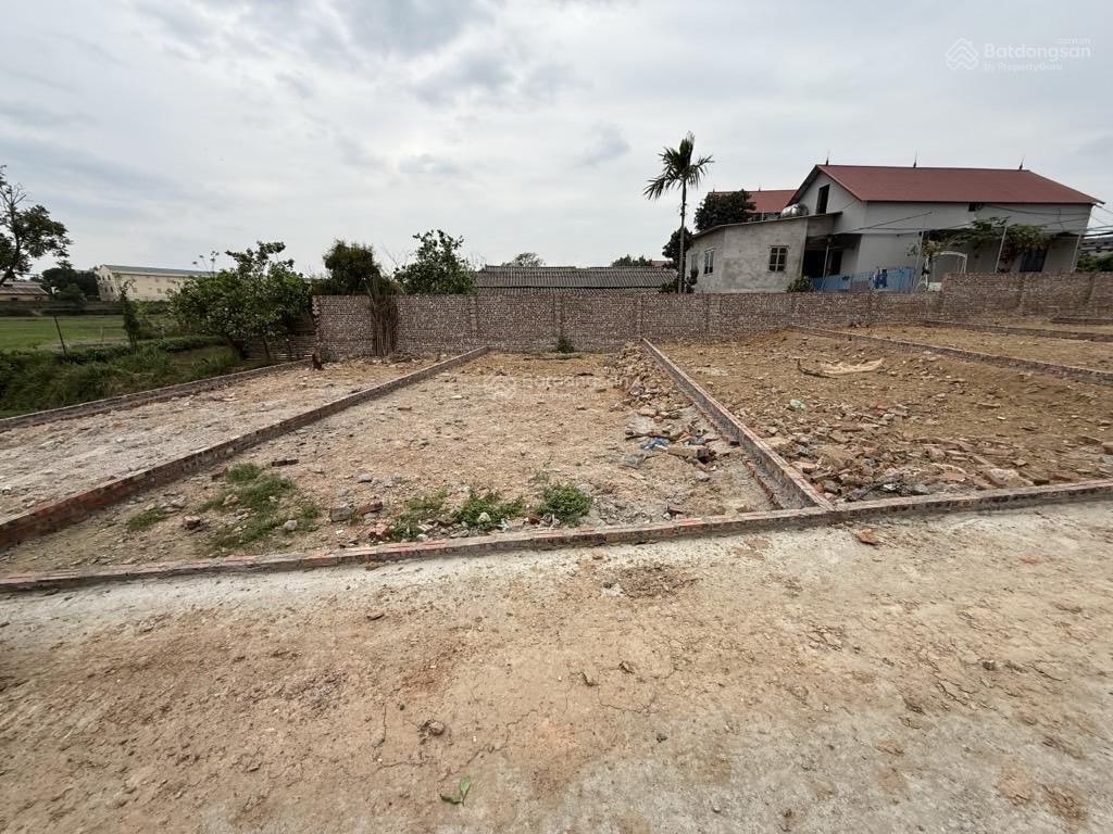 Bán đất tại đường 418, xã tân minh, sóc sơn, hà nội, 1,75 tỷ, 80 m2  cần tiền bán gấp (giá tl sâu)