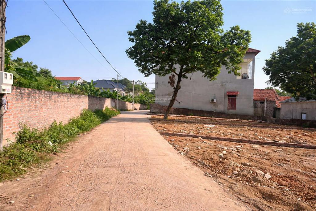 Bán đất thủ phủ khu công nghiệp 99m² full thổ cư tại xã trung mỹ, bình xuyên, vĩnh phúc