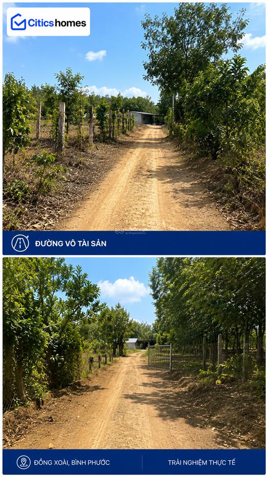 Chủ bán ngộp  đất 1.000m² đồng xoài, bình phước, 50m² odt, ngang gần 20m  giá chỉ 2,3 tỷ bớt lộc