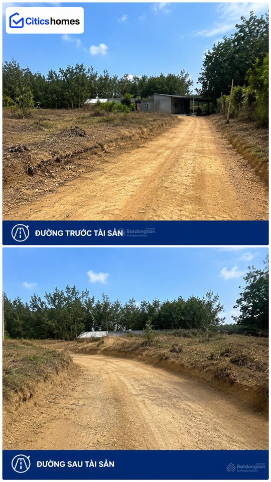 Chủ bán ngộp  đất 1.000m² đồng xoài, bình phước, 50m² odt, ngang gần 20m  giá chỉ 2,3 tỷ bớt lộc