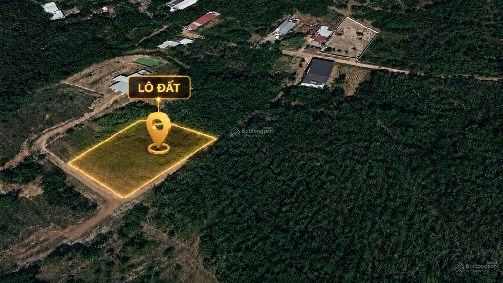 Chủ bán ngộp  đất 1.000m² đồng xoài, bình phước, 50m² odt, ngang gần 20m  giá chỉ 2,3 tỷ bớt lộc