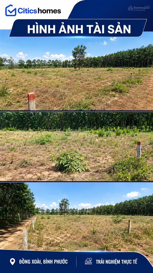 Chủ bán ngộp  đất 1.000m² đồng xoài, bình phước, 50m² odt, ngang gần 20m  giá chỉ 2,3 tỷ bớt lộc