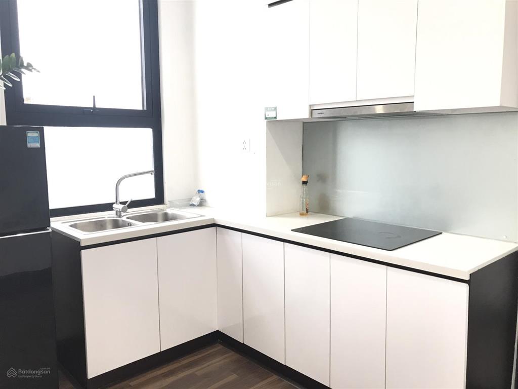 Cho thuê căn hộ 65m2 eco city việt hưng, long biên, hà nội