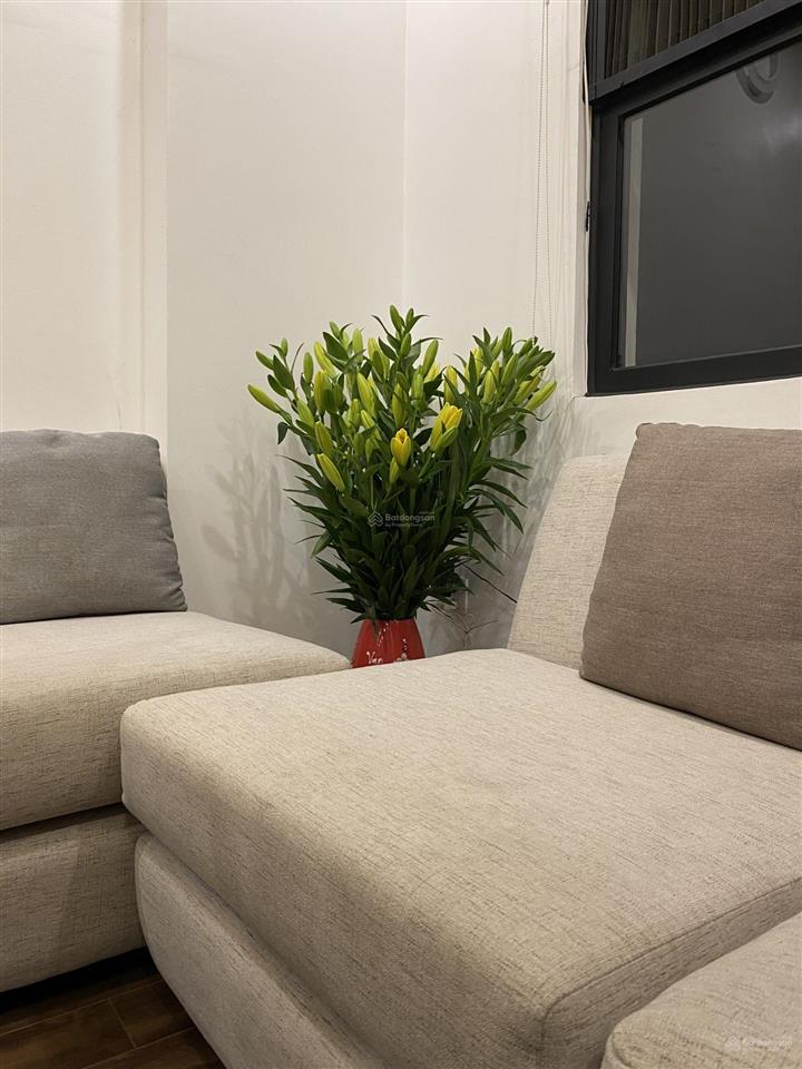 Căn hộ chung cư cao cấp eco city việt hưng  3pn, 2wc hướng đông nam, view vinhomes riverside