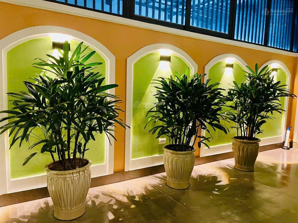 Cần chuyển nhượng căn hải âu hướng đn vị trí đẹp  full nội thất  chỉ cần xách vali về ở