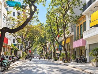 Cho thuê tòa nhà phố triệu việt vương, hai bà trưng, 235m2 x 10 tầng, mặt tiền 10m, giá 500 triệu