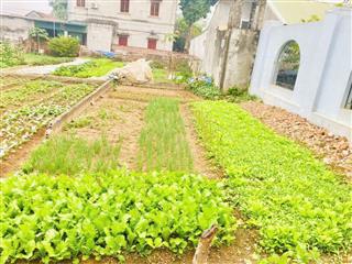 bán đất chính chủ xã Đông Sơn