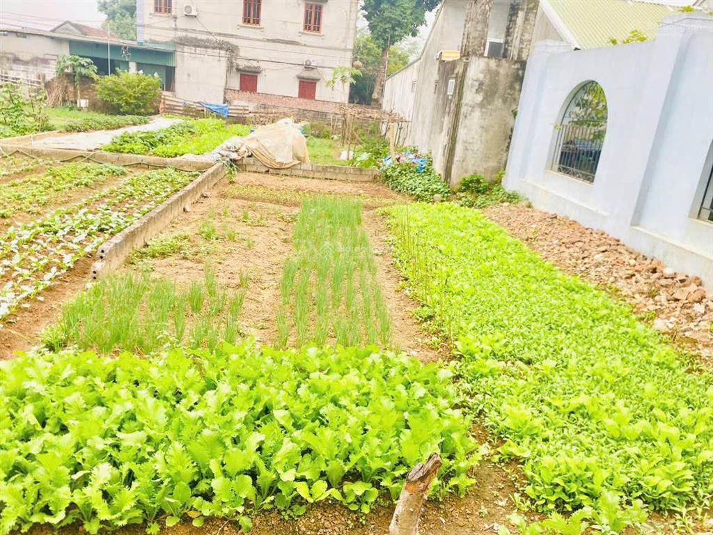 Chủ cần tiền giảm giá sâu đất đông sơn chương mỹ