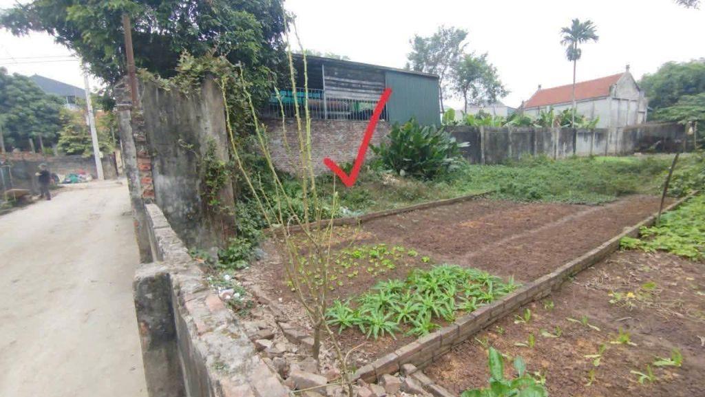 BÁN ĐẤT ĐẠI YÊN GIÁ NÉT CHÍNH CHỦ