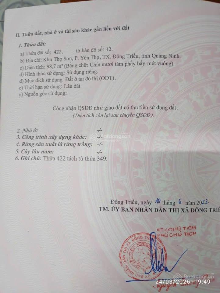 Trục chính đường nhựa khu thọ sơn, mạo khê