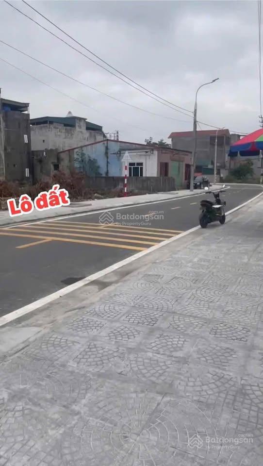 Trục chính đường nhựa khu thọ sơn, mạo khê