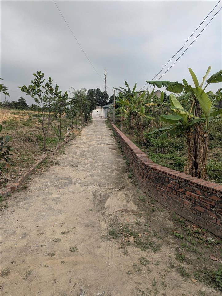 Cơ hội đầu tư dòng tiền cực hiếm gần đại học công nghiệp quảng ninh, thọ sơn, yên thọ