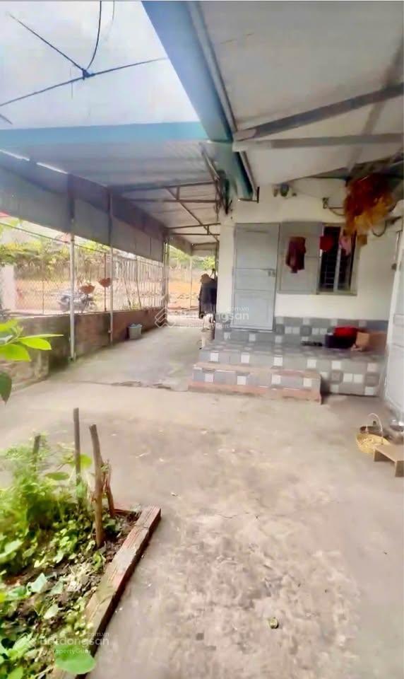 Cơ hội đầu tư dòng tiền cực hiếm gần đại học công nghiệp quảng ninh, thọ sơn, yên thọ