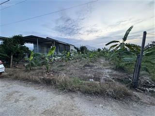 Cần bán nhanh lô đất đẹp gò mè, suối tiên dt 539m2, vuông vức nở hậu, full thổ cư, giá chỉ 3,5tr/m2