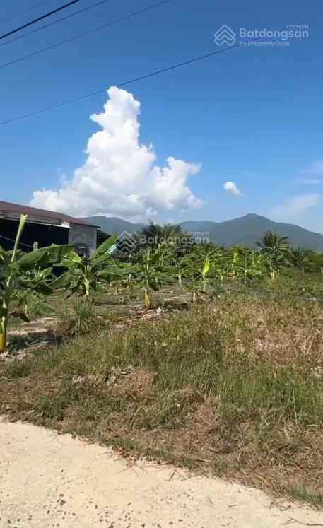 Cần bán nhanh lô đất đẹp gò mè, suối tiên, diên khánh dt 539m2 full thổ cư giá chỉ 3,5tr/m2