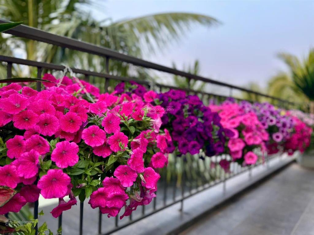 Cho thuê biệt thự đảo ecopark 300m2 100 tr/tháng xách vali về ở view sông tuyệt đẹp