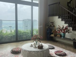 Cho thuê penthouse sky oasis ecopark dt 265m2