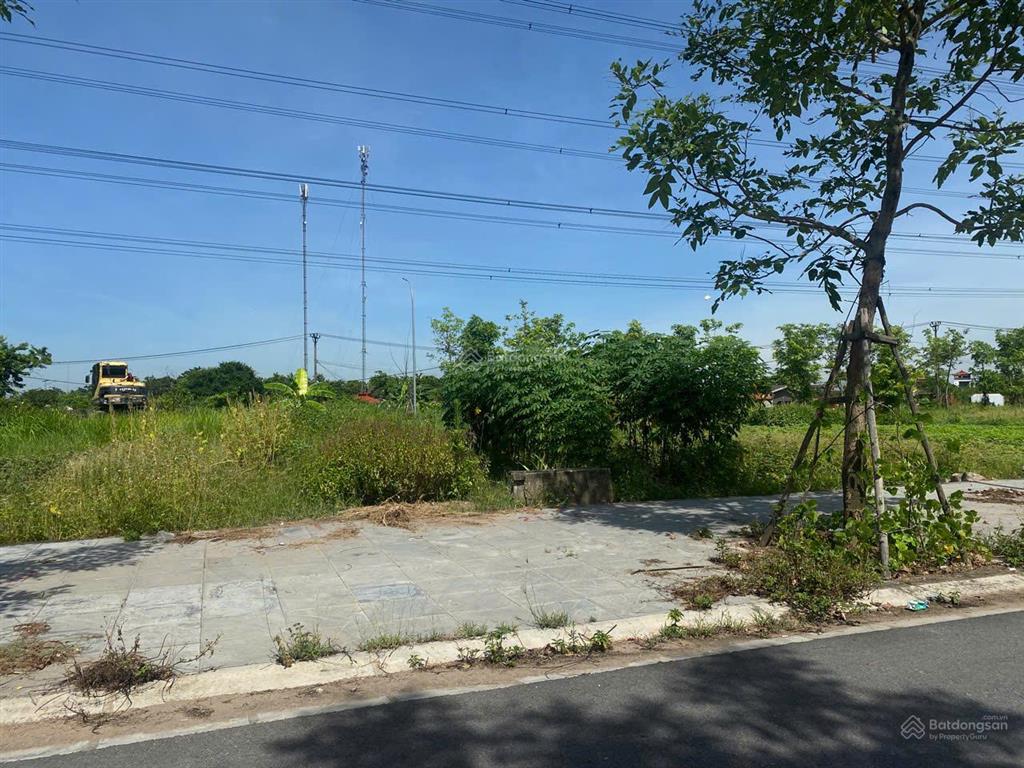 Bán đất thư lâm đông anh 80m², mặt tiền 5,6m, đường 7m, view công viên giá 4,3 tỷ