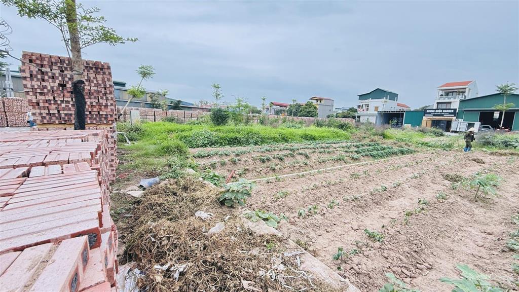 Đấu giá an lạc trưng trắc gần trạm thu phí ql5a và vành đai 4 vị trí tiềm năng