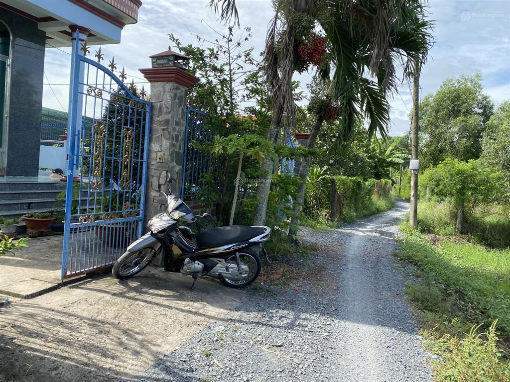 Bán 546m2 đất trồng cây lâu năm, hẻm đinh đức thiện, xã bình chánh, huyện bình chánh