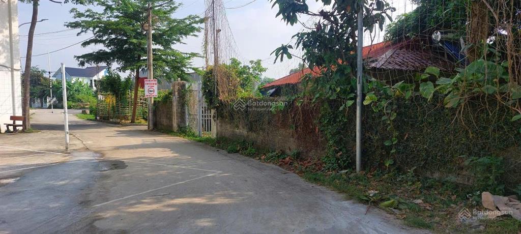 Đất phân lô thôn đồng trạng, cổ đông 0977 967 ***