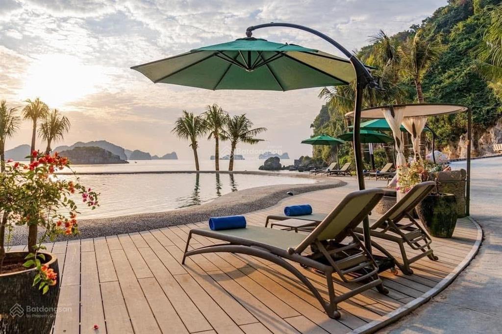 Sốc 1,45 tỷ (bao sổ) căn hộ 5* flamingo cát bà tòa giữa nhận nhà kinh doanh ngay