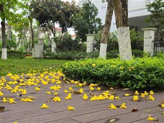 [home&land] tổng hợp quỹ căn liền kề cho thuê tại dự án spkendora ( mailand hanoi city)