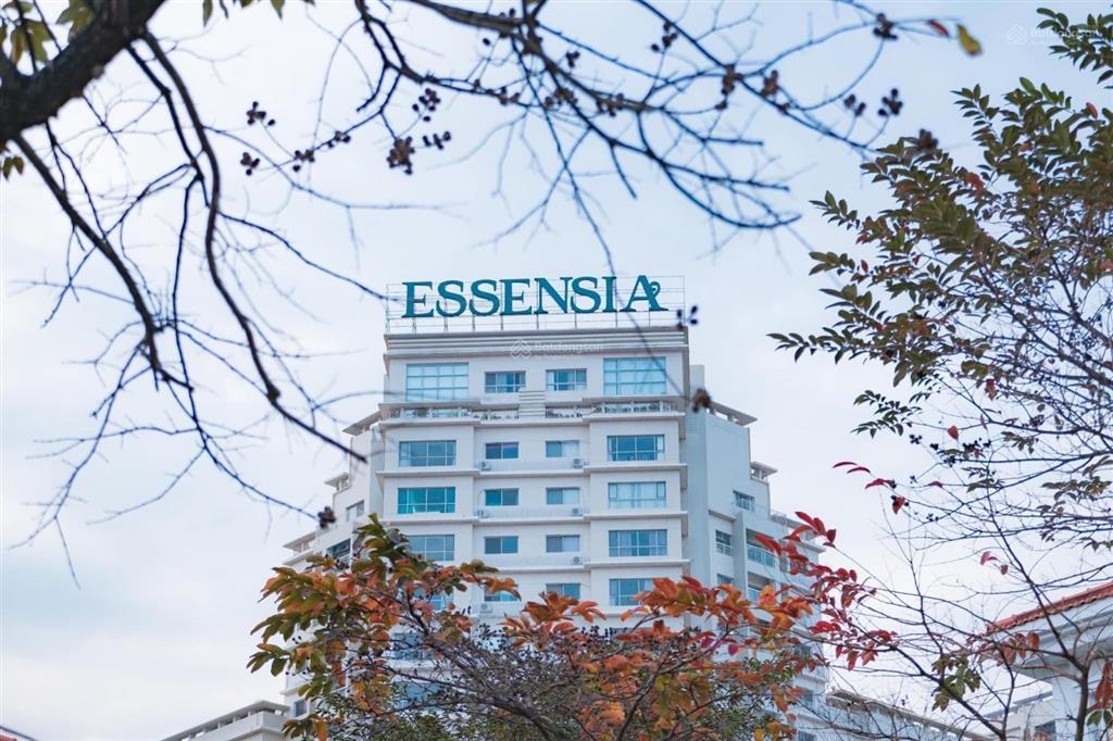 Cho thuê căn hộ 2pn2vs full nội thất tại tòa essensia
