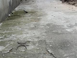 Bán đất 200m làng xuân lê, xã xuân lâm cũ, đã có nhà 2 tầng lô góc, chỉ việc xách valy về ở