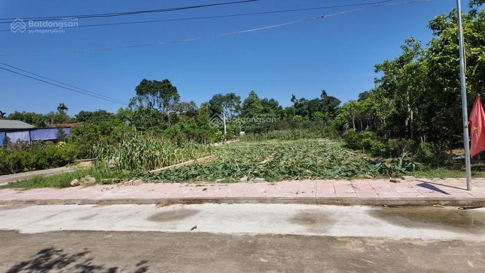 Đất cạnh cao tốc nghi sơn sao vàng