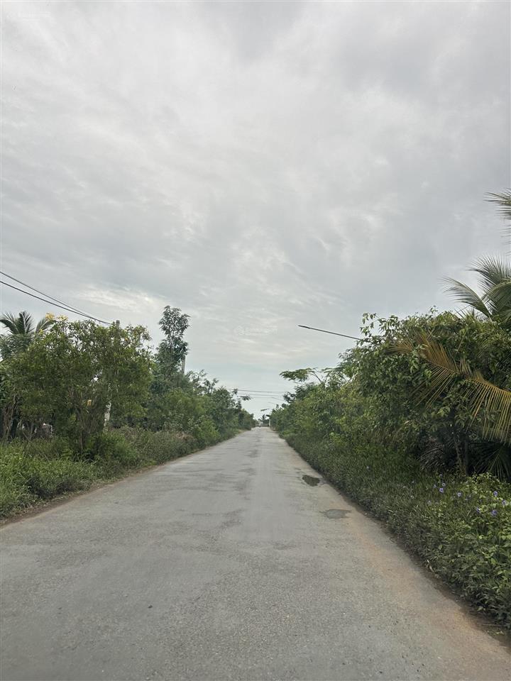 Bán đất 3000m2 tại nguyễn trãi, kiểng phước, gò công đông, 1,2 tỷ, view đẹp, chính chủ